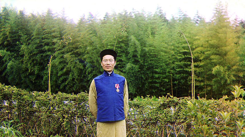 A Chinese man stands surrounded by tea plants at a tea farm.